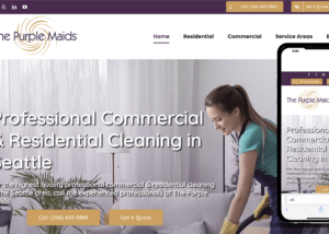 DIRT BUSTERS - Marketing a New Cleaning Service Company: MindManage