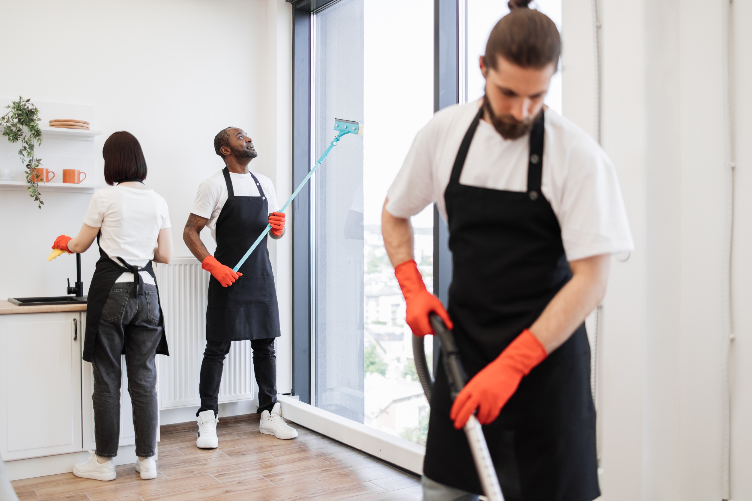 Cleaning Business Branding